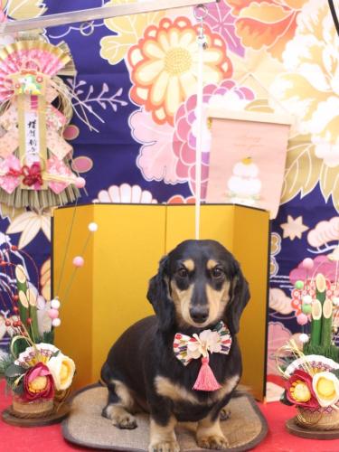 20240126おうたくん